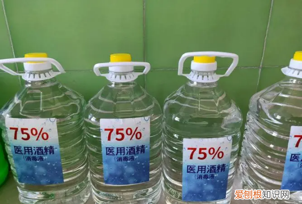 95浓度的酒精作用，95酒精用于干什么用高中生物