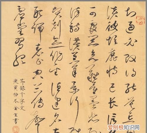 书法一般有哪些书体