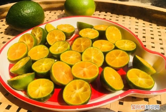 果酒的简单做法白酒版