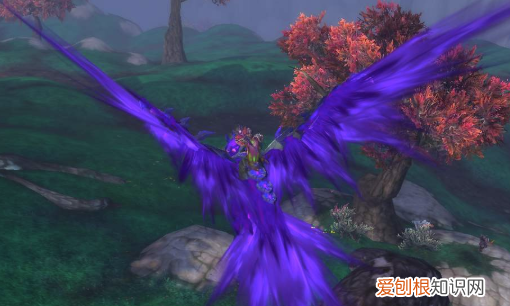 魔兽世界幻化坐骑哪里买,魔兽世界能买到得坐骑都有什么职业