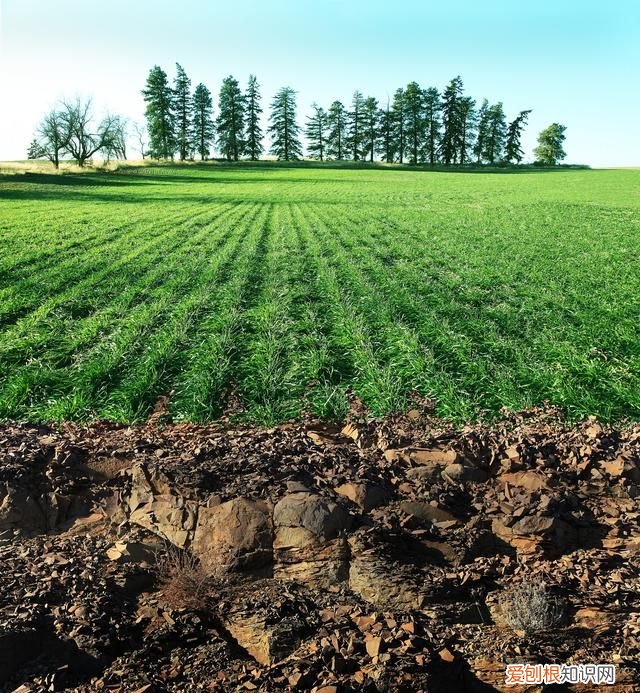 土壤污染的类型及其特点,土壤重金属污染现状