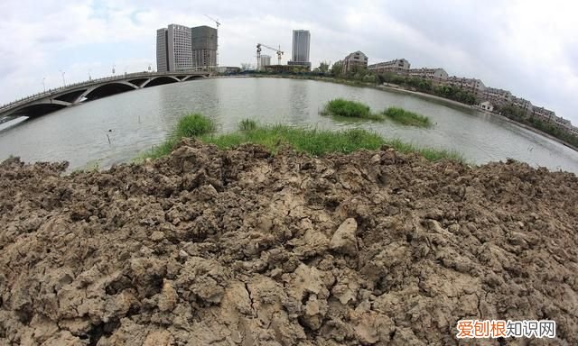 土壤污染的类型及其特点,土壤重金属污染现状