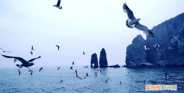 烟台海滨有什么美景