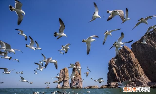 烟台海滨有什么美景