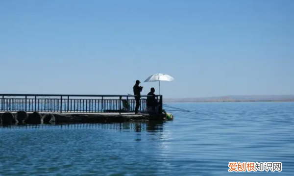 28钓鱼竿什么意思，5H二八调鱼竿什么意思