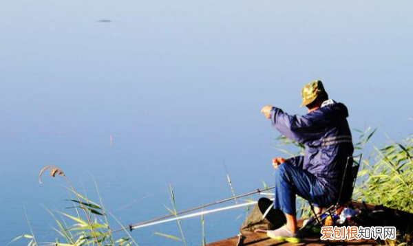 28钓鱼竿什么意思，5H二八调鱼竿什么意思