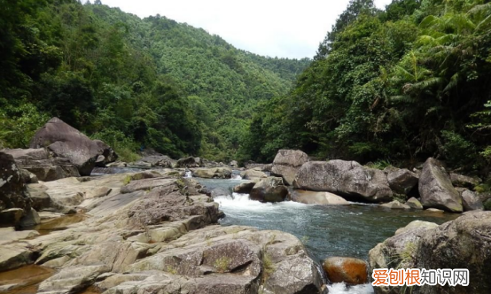 广西防城港附近景区有哪些好玩的