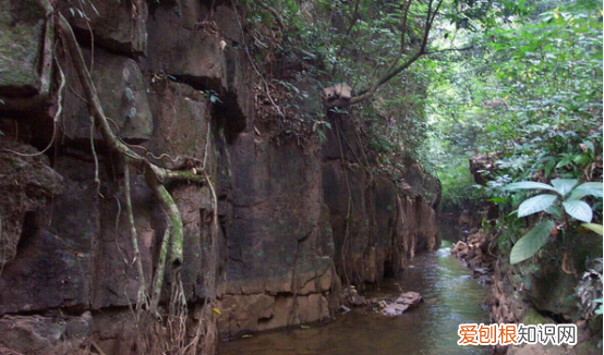 广西防城港附近景区有哪些好玩的