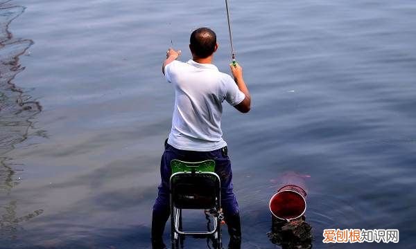 钓鱼时闹小鱼怎么办，钓鱼老是有小鱼捣乱怎么办