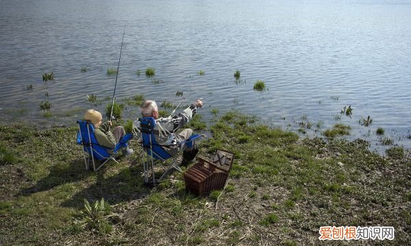 钓鱼时闹小鱼怎么办,钓鱼老是有小鱼捣乱怎么办