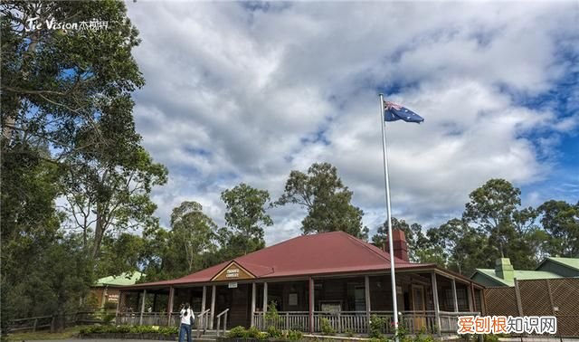 澳洲三大国宝 澳洲有物种天堂的称号