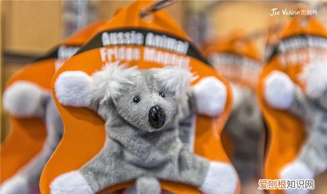 澳洲三大国宝 澳洲有物种天堂的称号