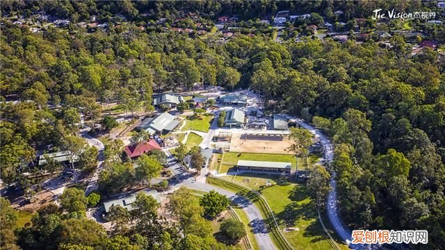 澳洲三大国宝 澳洲有物种天堂的称号