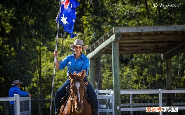 澳洲三大国宝 澳洲有物种天堂的称号
