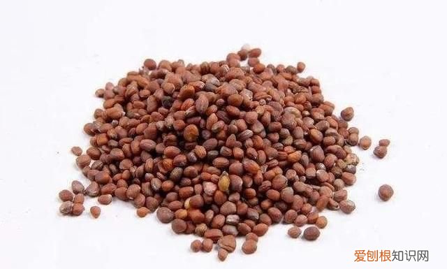 高血压患者健脾祛湿最好方法