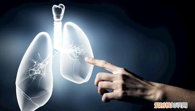 高血压患者健脾祛湿最好方法