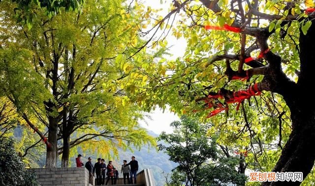 江苏连云港花果山景区有几个景点