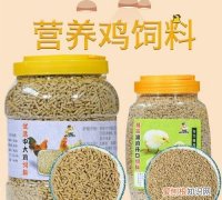 鸡饲料怎么钓鱼，小鸡饲料钓鲤鱼饵料配方