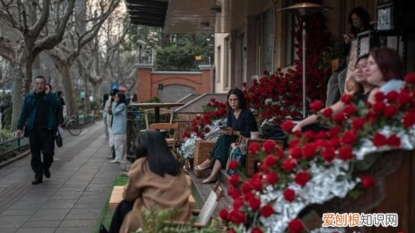 上海有一种百年沧桑叫愚园路 上海愚园路的由来