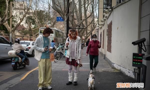 上海有一种百年沧桑叫愚园路 上海愚园路的由来