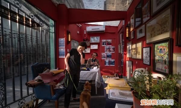 上海有一种百年沧桑叫愚园路 上海愚园路的由来