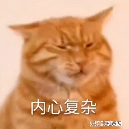 弹力衣对疤痕增生效果如何？