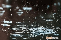 2023谷雨具体时间是几点几分开始