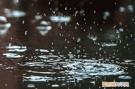 2023谷雨具体时间是几点几分开始