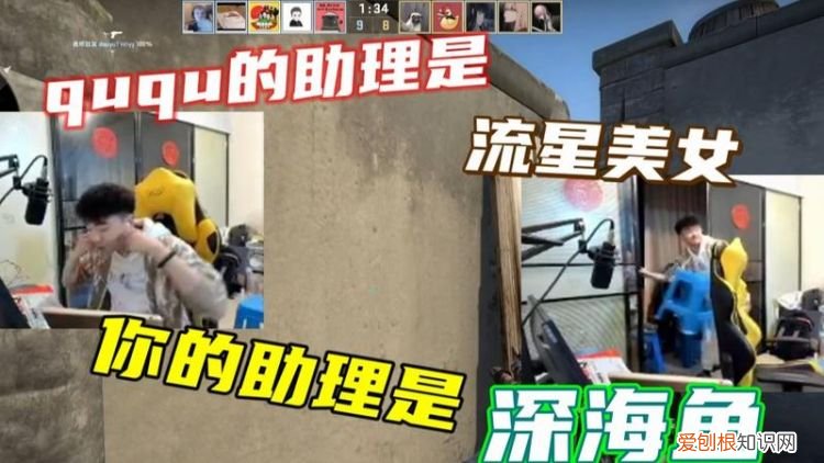 ququ和流星什么关系