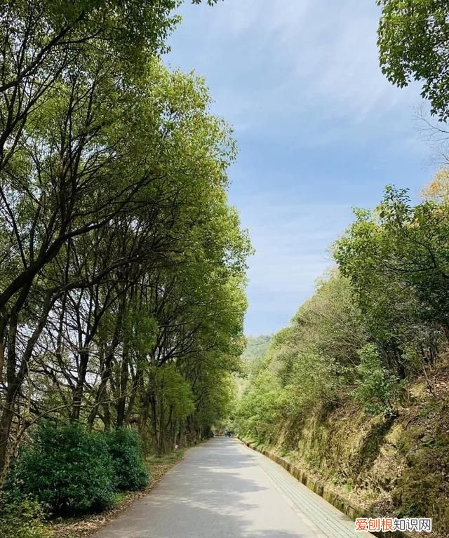 无锡秋季旅游景点大全,无锡春游景点推荐