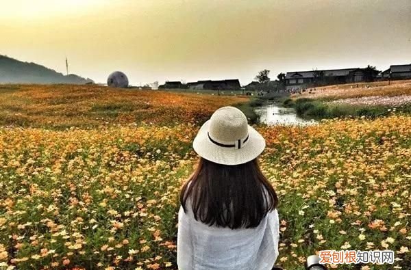 无锡秋季旅游景点大全,无锡春游景点推荐