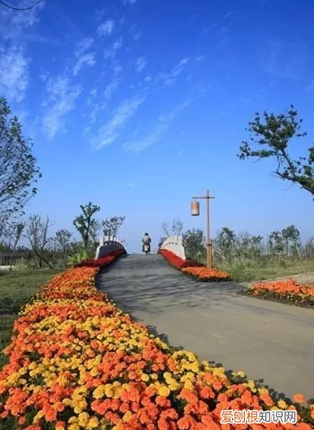 无锡秋季旅游景点大全,无锡春游景点推荐