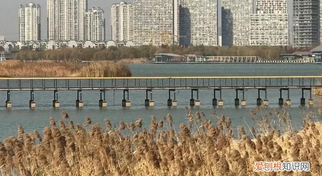 无锡秋季旅游景点大全,无锡春游景点推荐