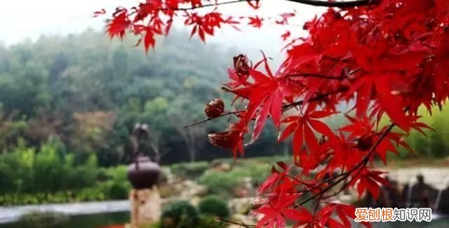 无锡秋季旅游景点大全,无锡春游景点推荐
