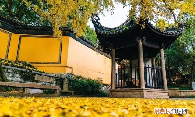 无锡秋季旅游景点大全,无锡春游景点推荐