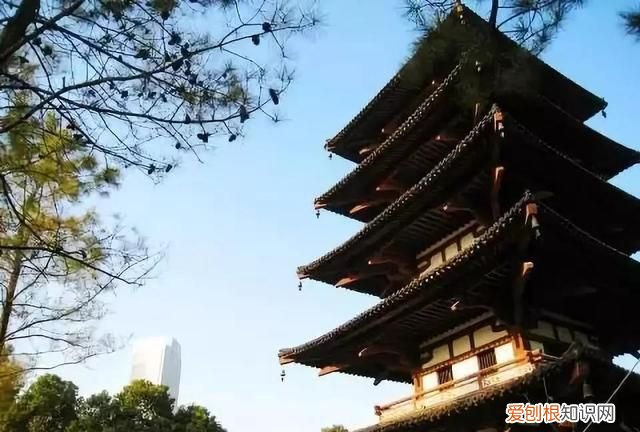 无锡秋季旅游景点大全,无锡春游景点推荐