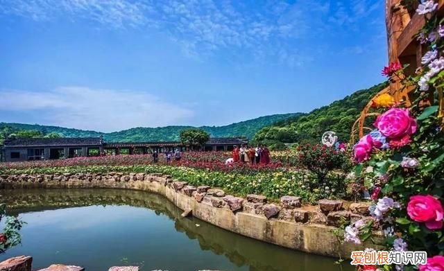 无锡秋季旅游景点大全,无锡春游景点推荐