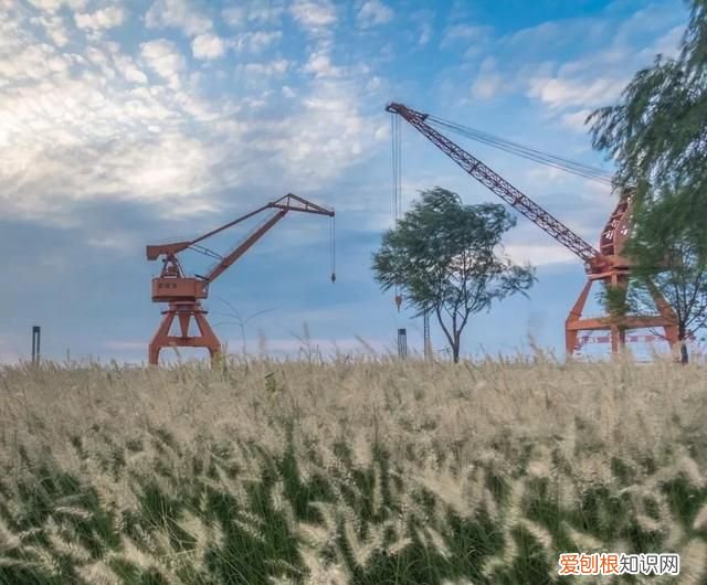 无锡秋季旅游景点大全,无锡春游景点推荐