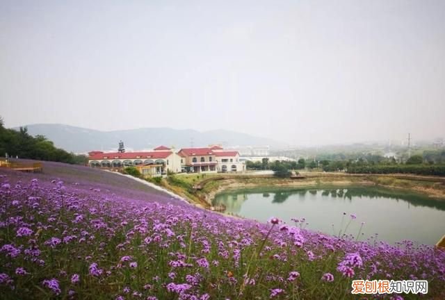 无锡秋季旅游景点大全,无锡春游景点推荐