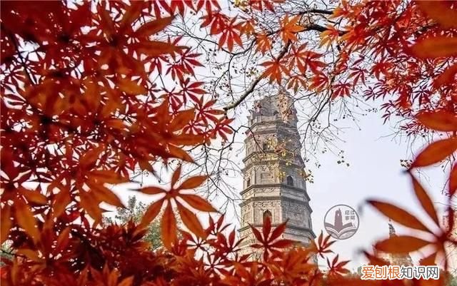 无锡秋季旅游景点大全,无锡春游景点推荐