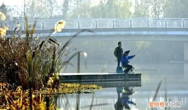 无锡秋季旅游景点大全,无锡春游景点推荐