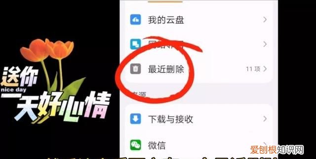 手机里照片和误删掉了怎么找回?