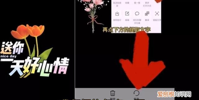 手机里照片和误删掉了怎么找回?