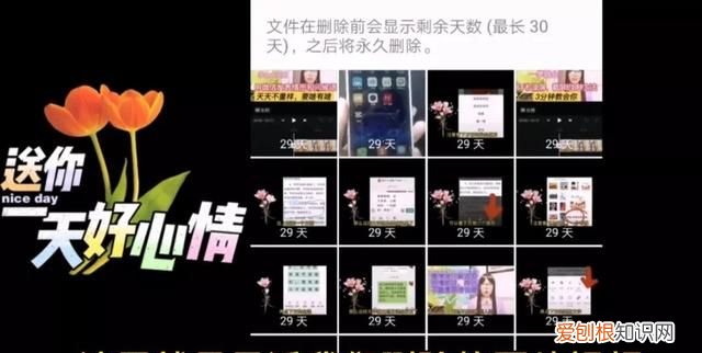 手机里照片和误删掉了怎么找回?
