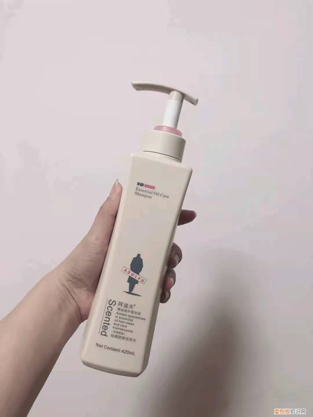 沙宣洗发水哪款好用？（避雷区这些产品用了不光干涩还会掉头发
