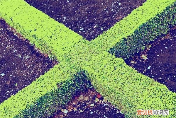 很现实的经典说说句子,寓意深远,读懂受益一生的句子