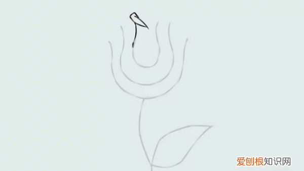 花瓣怎么画简单好看，玫瑰花花瓣怎么画简笔画