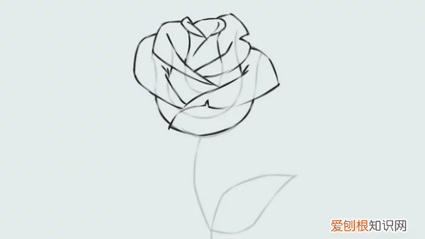 花瓣怎么画简单好看，玫瑰花花瓣怎么画简笔画