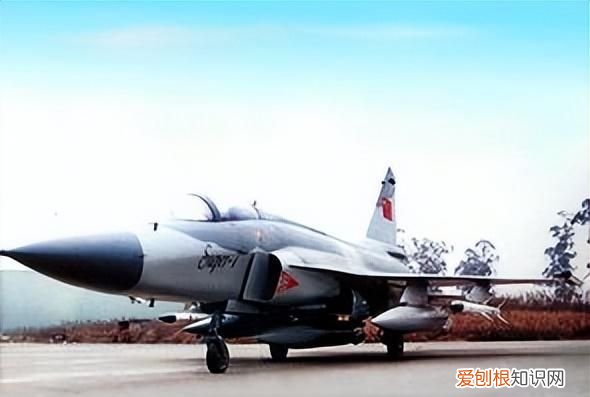 翼刀市场现状研究分析与发展前景预测报告