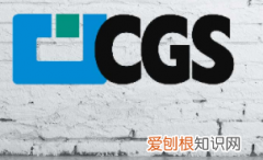 cgs是什么意思网络用语，在车牌路考结束后多久拿证